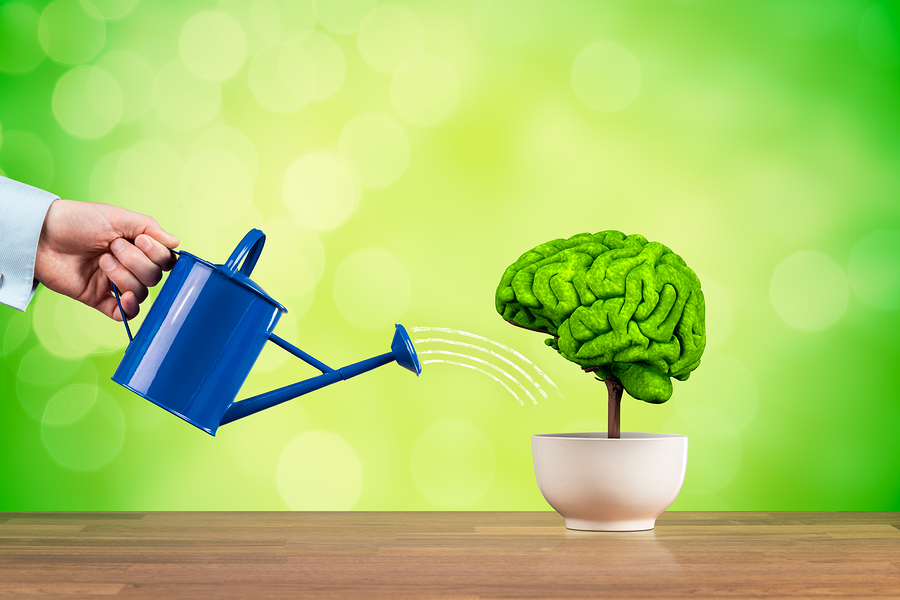 How to Build a Better Brain at Any Age - Senior Fitness For Life