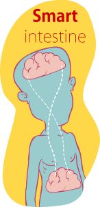 Brain-Gut-Connection