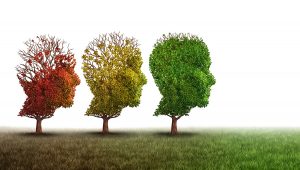 Aging Brain: Which Supplements Prevent Brain Drain?