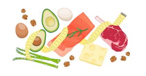 Low carb diet with healthy fats, fish, avocados, cheese