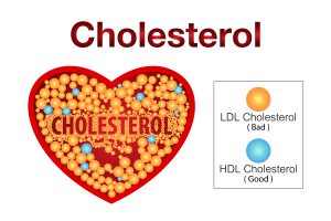 Cholesterol chart with HDL and LDL