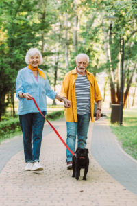 Senior couple walking dog in park